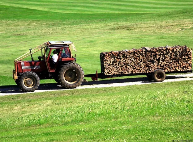exploitant forestier à Andrezé près de Cholet dans le Maine-et-Loire 49